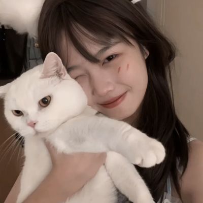 炼金工房online中文版下载